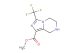 methyl 3-(trifluoromethyl)-5,6,7,8-tetrahydroimidazo[1,5-a]pyrazine-1-carboxylate