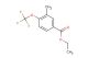 ethyl 3-methyl-4-(trifluoromethoxy)benzoate