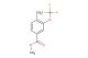 methyl 4-methyl-3-(trifluoromethoxy)benzoate