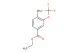 ethyl 4-methyl-3-(trifluoromethoxy)benzoate