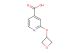 2-(oxetan-3-yloxy)pyridine-4-carboxylic acid