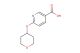 6-((tetrahydro-2H-pyran-4-yl)oxy)nicotinic acid