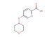 5-(oxan-4-yloxy)pyridine-2-carboxylic acid