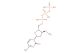 3'-ONH?-dCTP