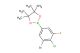 2-(3-bromo-4-chloro-5-fluorophenyl)-4,4,5,5-tetramethyl-1,3,2-dioxaborolane