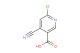 6-chloro-4-cyanonicotinic acid