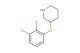 3-(2,3-dichlorophenoxy)piperidine