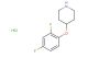 4-(2,4-difluorophenoxy)piperidine hydrochloride