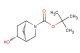 tert-butyl (1S,4S,5R)-5-hydroxy-2-azabicyclo[2.2.1]heptane-2-carboxylate