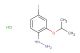 (4-iodo-2-isopropoxyphenyl)hydrazine hydrochloride