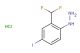 (2-(difluoromethyl)-4-iodophenyl)hydrazine hydrochloride