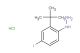 (2-(tert-butyl)-4-iodophenyl)hydrazine hydrochloride