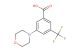 3-morpholino-5-(trifluoromethyl)benzoic acid