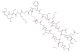 C-Type Natriuretic Peptide (CNP) (1-22), human
