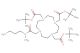 tri-tert-butyl 2,2',2''-(10-(2-((3-aminopropyl)(methyl)amino)-2-oxoethyl)-1,4,7,10-tetraazacyclododecane-1,4,7-triyl)triacetate