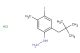 (4-iodo-5-methyl-2-neopentylphenyl)hydrazine hydrochloride