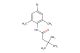 N-(4-bromo-2,6-dimethylphenyl)-3,3-dimethylbutanamide