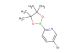 5-Bromo-2-(4,4,5,5-tetramethyl-1,3,2-dioxaborolan-2-yl)pyridine