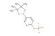 5-(4,4,5,5-tetramethyl-1,3,2-dioxaborolan-2-yl)-2-(trifluoromethoxy)pyridine