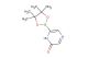 6-(4,4,5,5-tetramethyl-1,3,2-dioxaborolan-2-yl)pyrazin-2(1H)-one