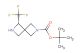 tert-butyl (S)-5-(trifluoromethyl)-2,6-diazaspiro[3.3]heptane-2-carboxylate