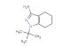 1-(tert-butyl)-4,5,6,7-tetrahydro-1H-indazol-3-amine