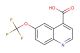 6-(trifluoromethoxy)quinoline-4-carboxylic acid