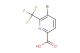 5-bromo-6-(trifluoromethyl)picolinic acid