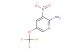 3-nitro-5-(trifluoromethoxy)pyridin-2-amine