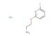 2-((6-fluoropyridin-2-yl)oxy)ethan-1-amine  hydrochloride