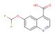6-(difluoromethoxy)quinoline-4-carboxylic acid