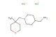 (1-((4-methyltetrahydro-2H-pyran-4-yl)methyl)piperidin-4-yl)methanamine dihydrochloride