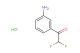 1-(3-aminophenyl)-2,2-difluoroethan-1-one hydrochloride