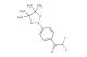 2,2-Difluoro-1-(4-(4,4,5,5-tetramethyl-1,3,2-dioxaborolan-2-yl)phenyl)ethan-1-one