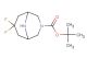 tert-butyl 7,7-difluoro-3,9-diazabicyclo[3.3.1]nonane-3-carboxylate