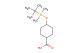 4-((tert-butyldimethylsilyl)oxy)cyclohexane-1-carboxylic acid