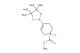 methyl 1-fluoro-4-(4,4,5,5-tetramethyl-1,3,2-dioxaborolan-2-yl)cyclohex-3-ene-1-carboxylate