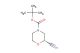(R)-N-Boc-2-cyanomorpholine