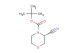 (R)-N-Boc-3-cyanomorpholine