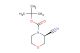 (S)-N-Boc-3-cyanomorpholine