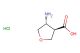 (3R,4R)-4-aminotetrahydrofuran-3-carboxylic acid hydrochloride
