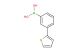 (3-thiophen-2-ylphenyl)boronic acid