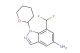 7-(difluoromethyl)-1-(tetrahydro-2H-pyran-2-yl)-1H-indazol-5-amine