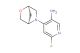 4-((1R,4R)-2-oxa-5-azabicyclo[2.2.1]heptan-5-yl)-6-fluoropyridin-3-amine