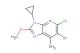 6-bromo-5-chloro-3-cyclopropyl-2-methoxy-7-methyl-3H-imidazo[4,5-b]pyridine