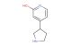 4-(pyrrolidin-3-yl)pyridin-2-ol