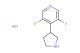 3,5-difluoro-4-(pyrrolidin-3-yl)pyridine hydrochloride