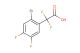 2-(2-bromo-4,5-difluorophenyl)-2,2-difluoroacetic acid