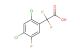2-(2,4-dichloro-5-fluorophenyl)-2,2-difluoroacetic acid