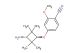 4-((1R,3R)-3-amino-2,2,4,4-tetramethylcyclobutoxy)-2-methoxybenzonitrile
